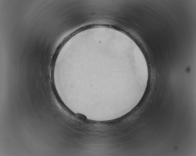 X0000115790935200912241828