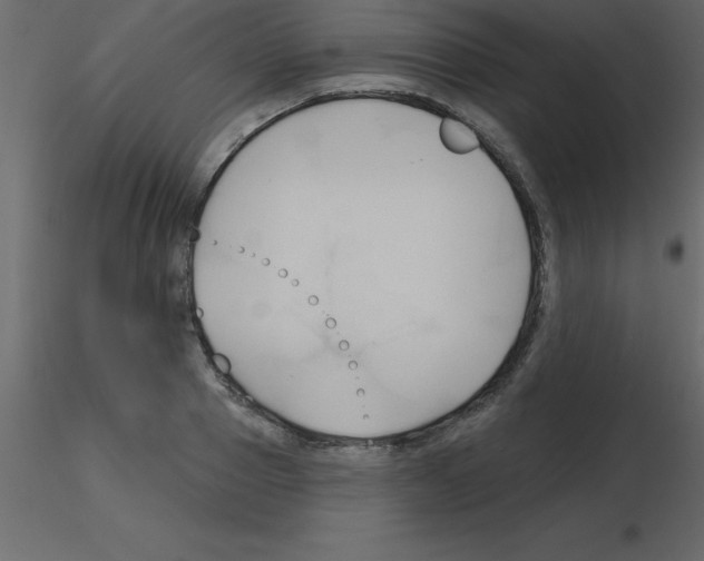 X0000115790937200912241828