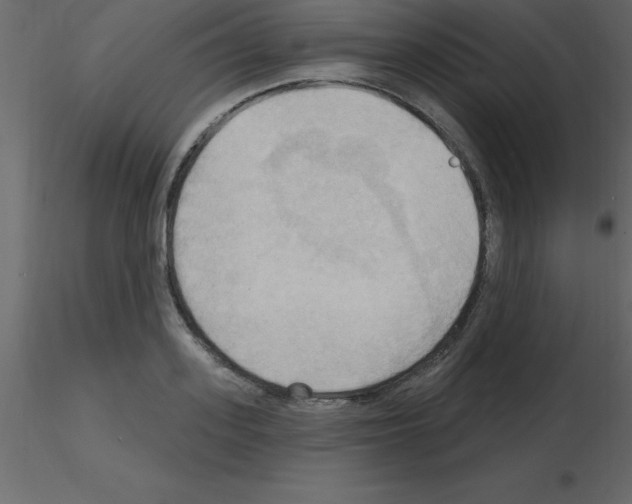 X0000115790939200912241828