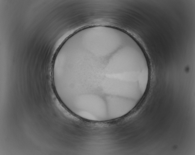X0000115790941200912241829