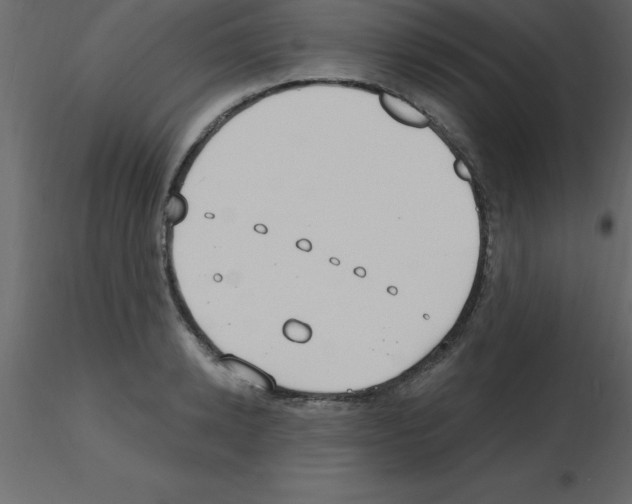 X0000115790942200912241829