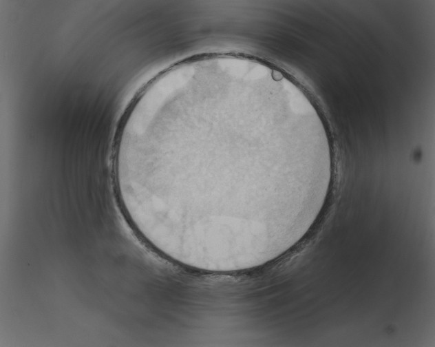 X0000115790943200912241829