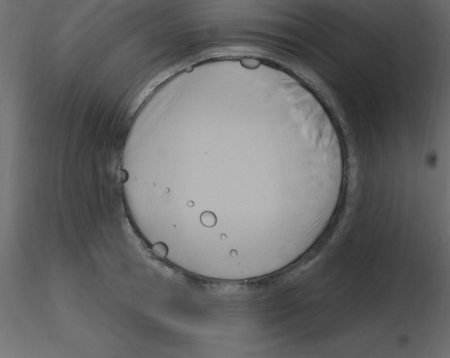 X0000115790945200912241829