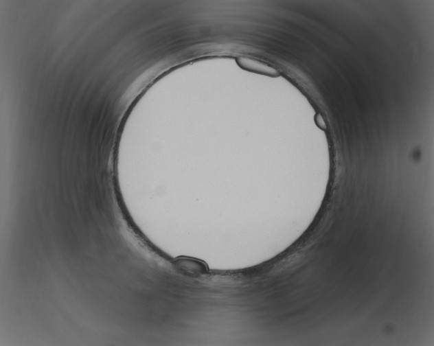 X0000115790946200912241829