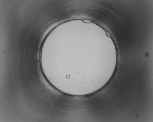 X0000115790947200912241829