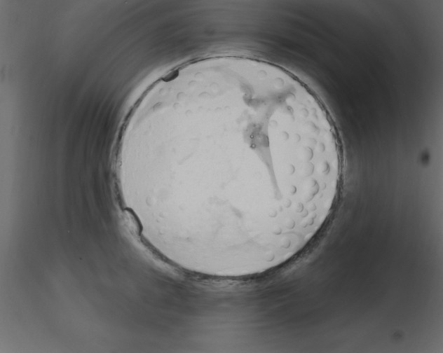 X0000115790949200912241829
