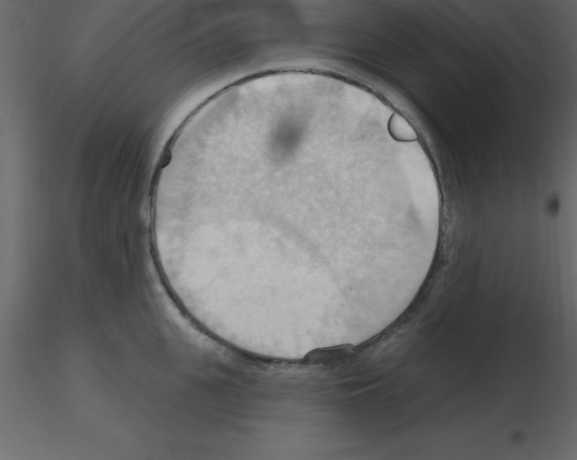 X0000115790951200912241829