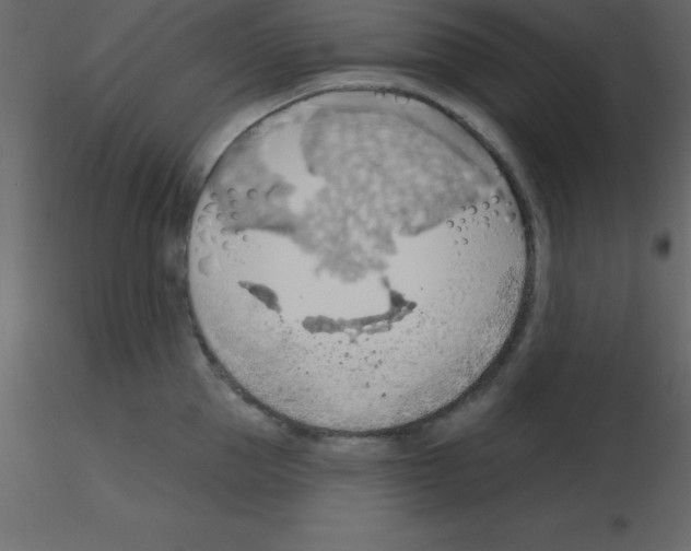 X0000115790953200912241829
