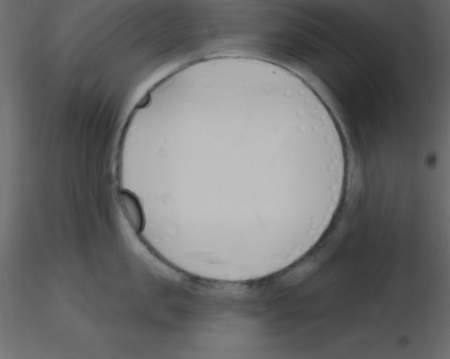 X0000115790957200912241829