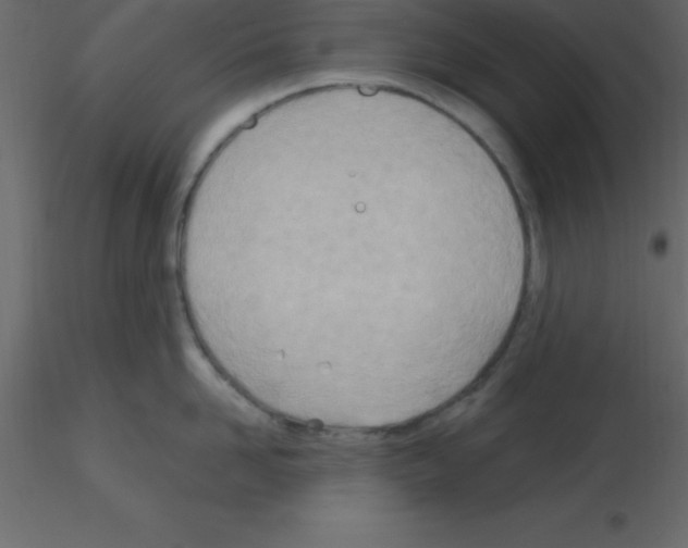 X0000115790958200912241829