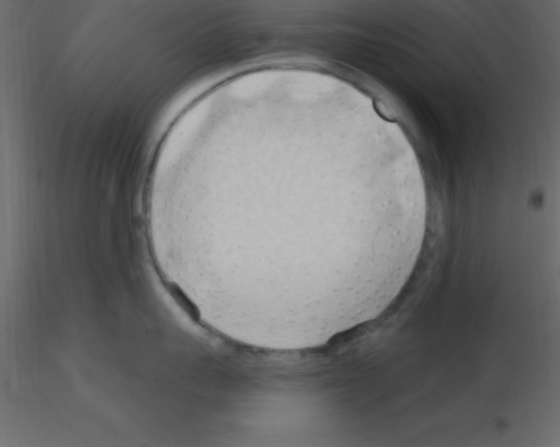 X0000115790959200912241829