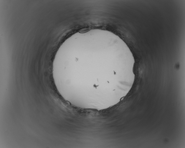 X0000115790961200912241828