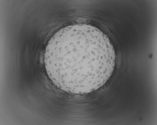 X0000115790962200912241828