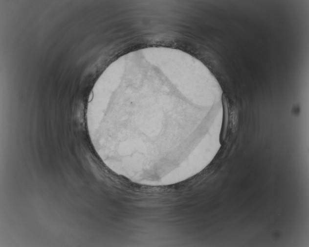 X0000115790963200912241828