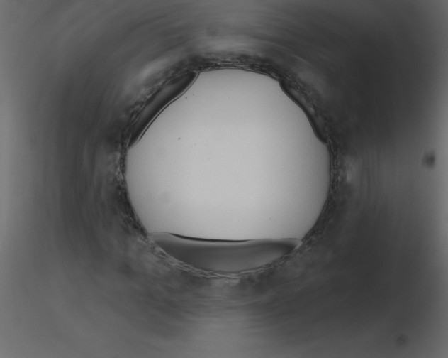 X0000115790965200912241828
