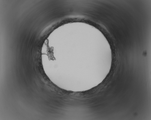 X0000115790967200912241828