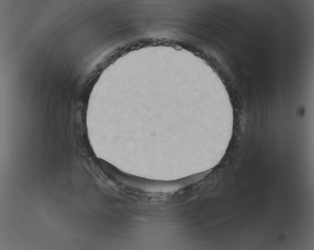 X0000115790968200912241828