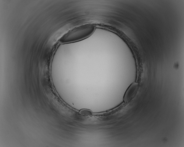 X0000115790969200912241828