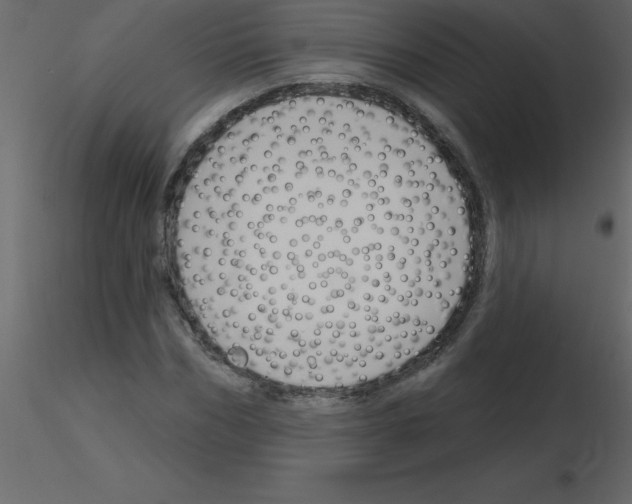 X0000115790970200912241828