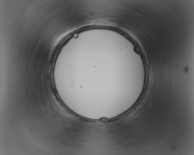 X0000115790971200912241828
