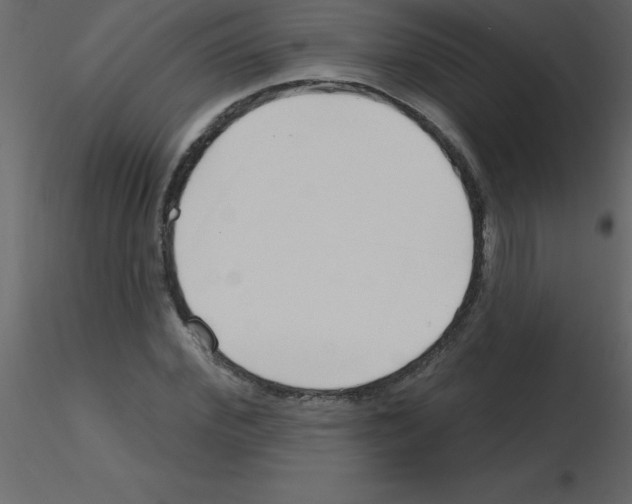 X0000115790972200912241828