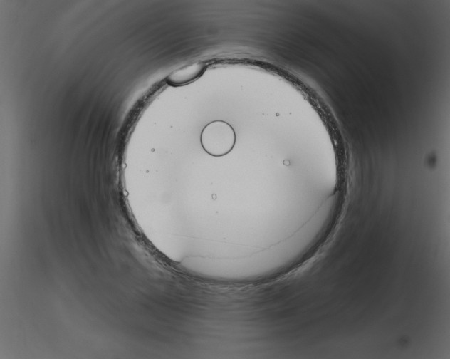 X0000115790973200912241828