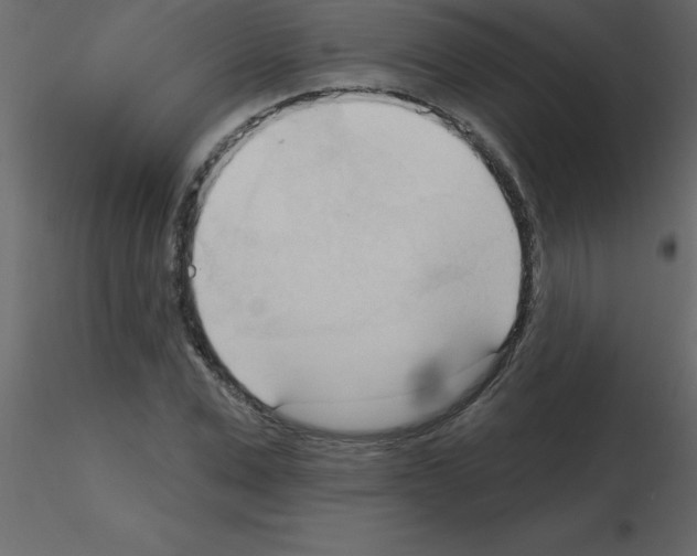 X0000115790975200912241828
