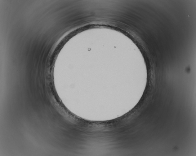 X0000115790976200912241828