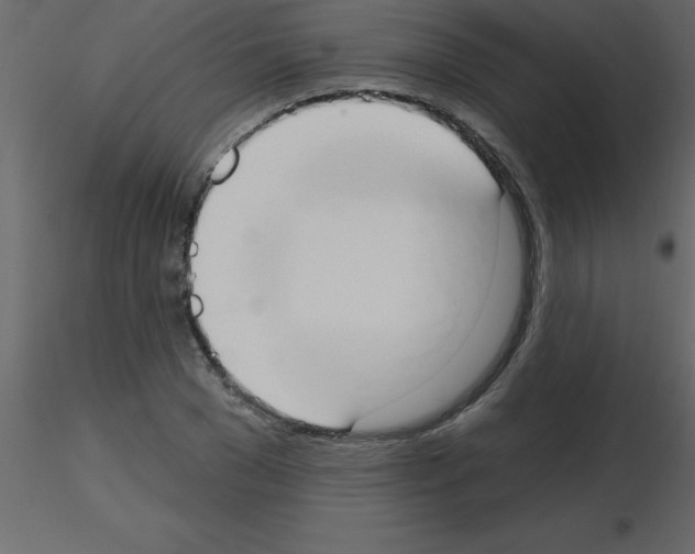 X0000115790977200912241828