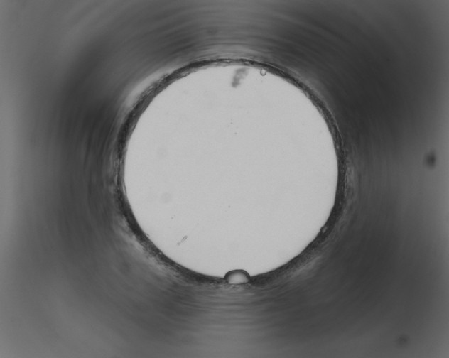 X0000115790979200912241828