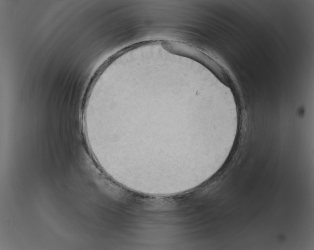 X0000115790980200912241828