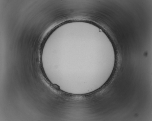 X0000115790982200912241828