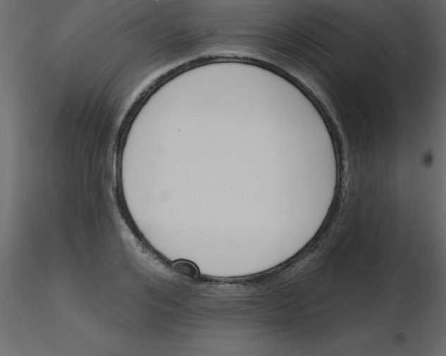 X0000115790984200912241828