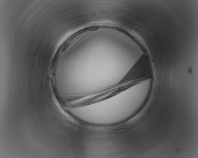 X0000115790989200912241828