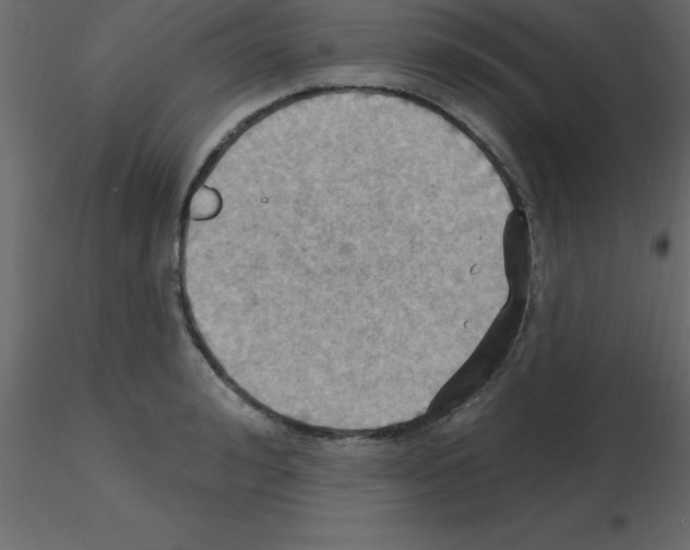 X0000115790992200912241828
