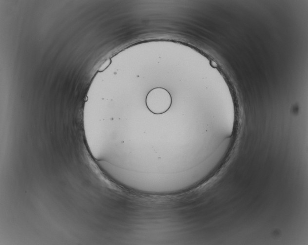 X0000115790993200912241828