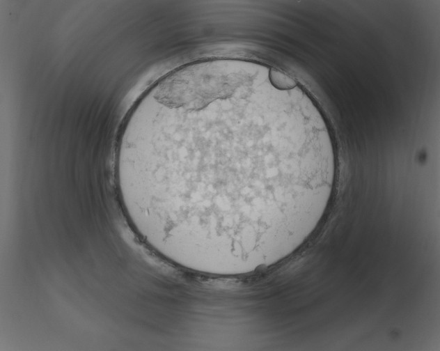 X0000115790994200912241828