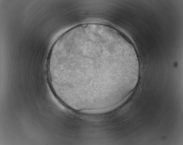 X0000115790995200912241828