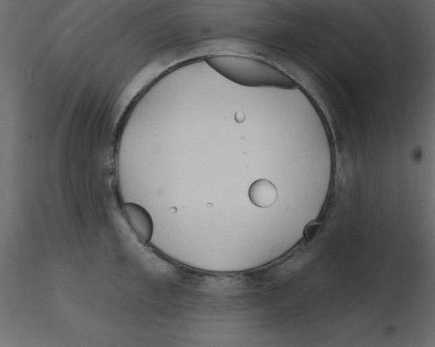 X0000115790997200912241828