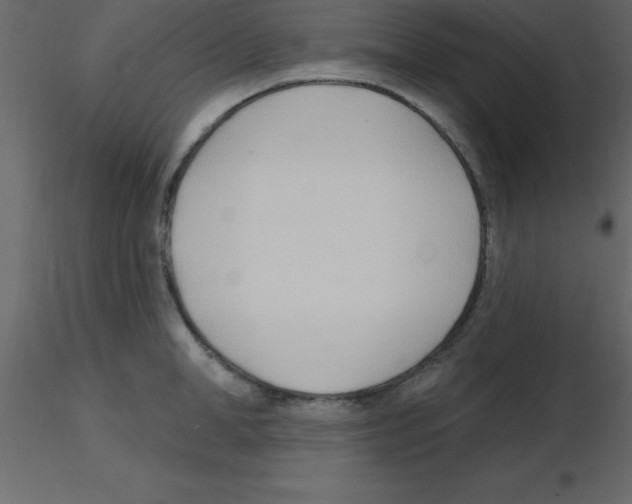 X0000115790998200912241828