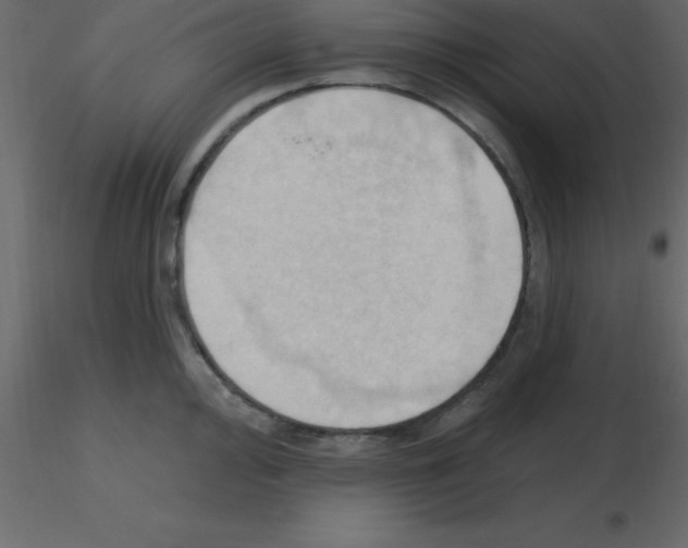 X0000115791000200912241828