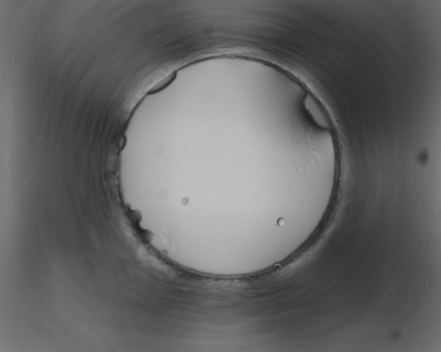 X0000115791001200912241828
