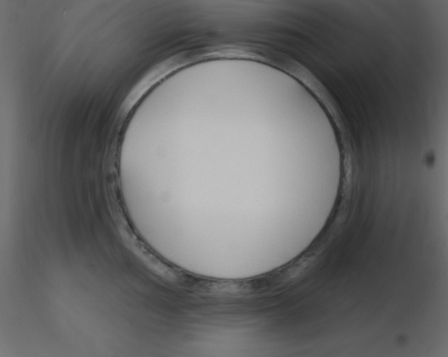 X0000115791002200912241828