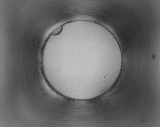 X0000115791003200912241828