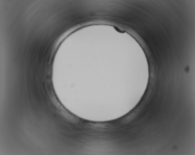 X0000115791004200912241828