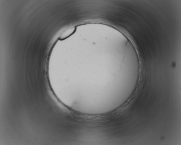 X0000115791005200912241828