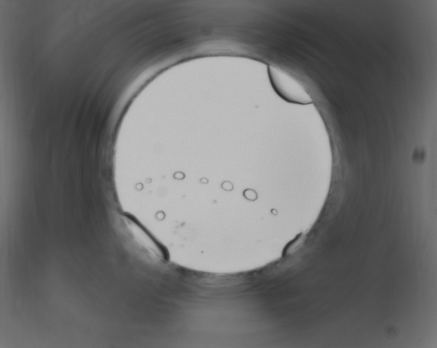 X0000115791008200912241827