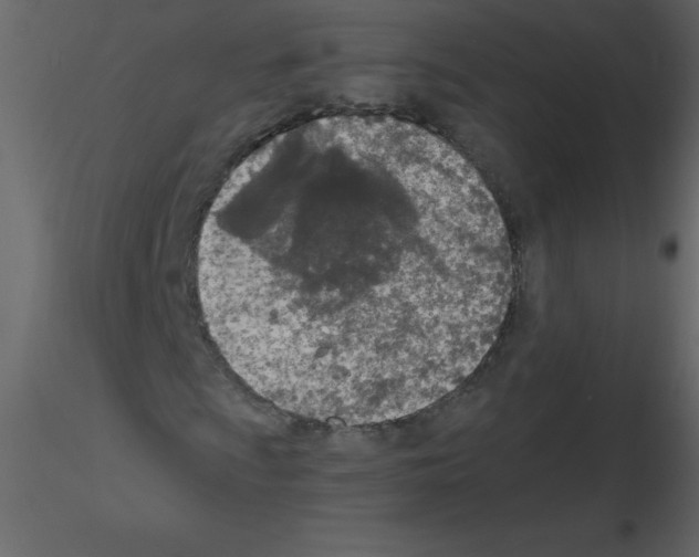 X0000115791009200912241827