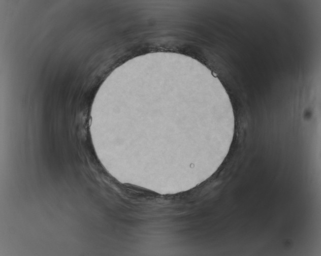 X0000115791010200912241827