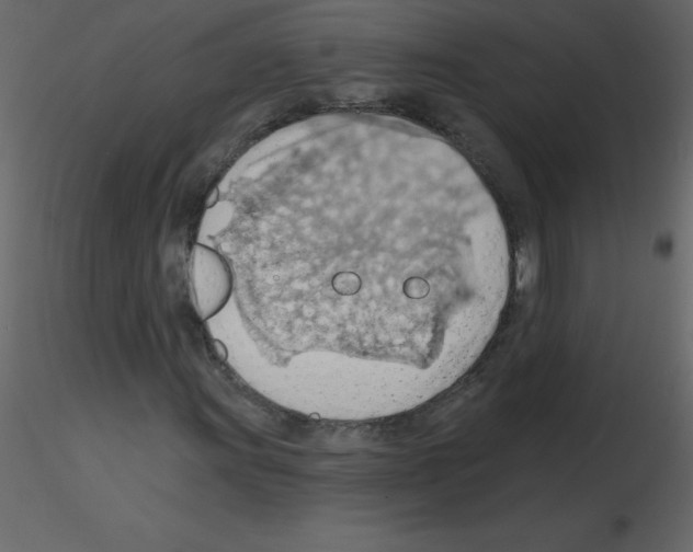 X0000115791011200912241827
